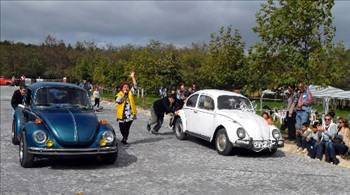 Sergilik Kaplumbağalar Palladium'da - Resim: 2