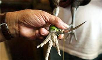 Bu haberler akla zarar! - Resim: 3