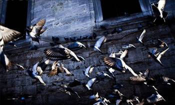 Mimar Sinan'ın akıl almaz sırları - Resim: 3