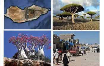 Bu adanın gizemi çözülemiyor - Resim: 1