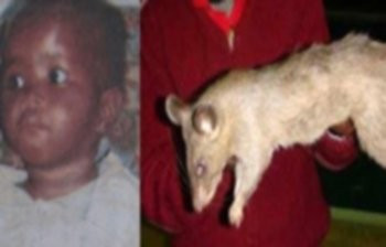 Korkunç olay 3 aylık bebeği fareler yedi! - Resim: 4