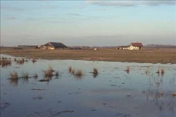 Doğadaki en tehlikeli zehirler - Resim: 2