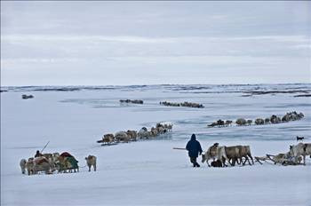 Dünya değişti onlar değişmedi - Resim: 4