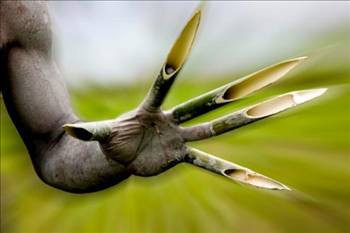 İşte en garip gelenekler - Resim: 3