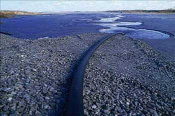 Doğadaki en tehlikeli zehirler - Resim: 1