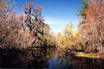 Dünyanın en korkunç yerleri - Resim: 15