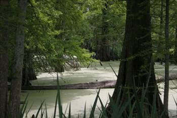 Dünyanın en korkunç yerleri - Resim: 17