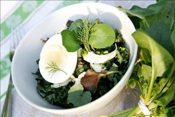 Yabani ot deyip geçmeyin! - Resim: 1