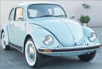 Sergilik Kaplumbağalar Palladium'da - Resim: 4