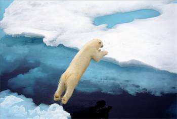 Uzun ömürlü yaşamının sırrı sağ elde! - Resim: 3