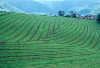 Peygamberlerin meslekleri - Resim: 2