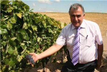 Kalecik Karası Festivali'nden görüntüler - Resim: 4