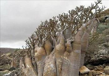 Bu adanın gizemi çözülemiyor - Resim: 3