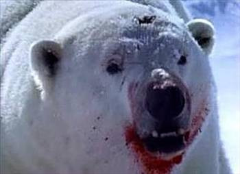 Doğanın 'en'leri - Resim: 1