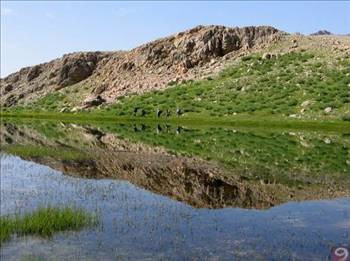 İllerin trafik kaza oranı - Resim: 4