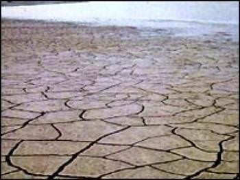  Wi-Fi sinyalleri sağlığa zararlı mı? - Resim: 4