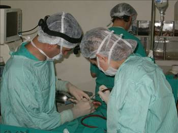 Estetik kurbanı olmayın - Resim: 2