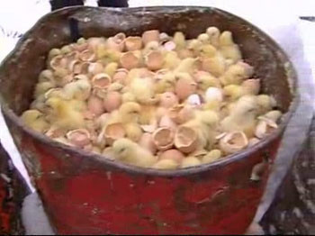 Rusya'da insanlık dışı görüntüler! - Resim: 1