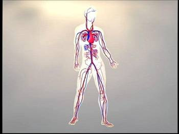 Uzun ömürlü yaşamının sırrı sağ elde! - Resim: 4