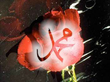 Hz. Peygamberin Beden Dili - Resim: 3