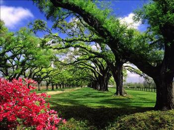 Türkiye'de bedava yapılacak 100 şey - Resim: 1