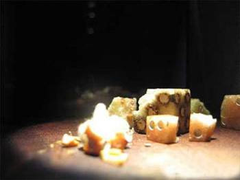 Dünyanın en garip müzeleri - Resim: 2