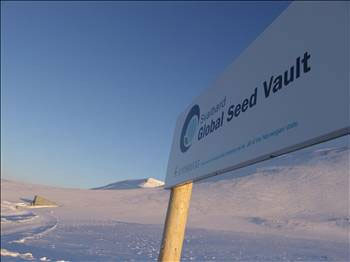 Kıyamet için ambar kurdular - Resim: 1