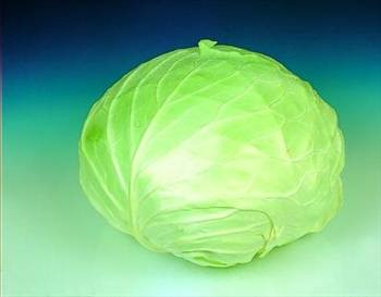 20 ölümcül hata ve altın kurallar - Resim: 3