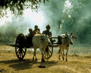 Tarihteki en garip vergiler - Resim: 4