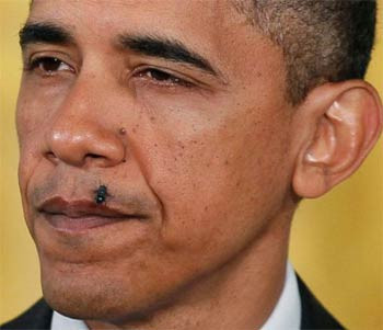 Günün en komik fotoğrafları - Resim: 2