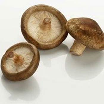 Çok şaşıracağınız 10 zehirli yiyecek - Resim: 1