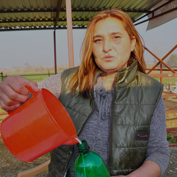 İzmir'de eşek sütü çiftliği kurdu! Eşek sütünün litresi 120 lira kansere deva - Resim: 2