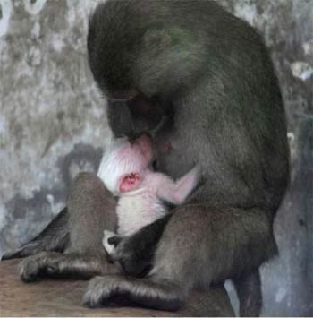 Günün en çok ilgi çeken fotoğrafları - Resim: 3