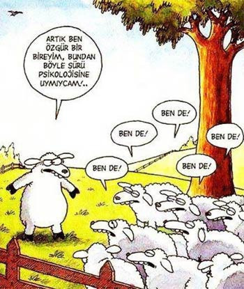 Günün en komik karikatürleri - Resim: 4