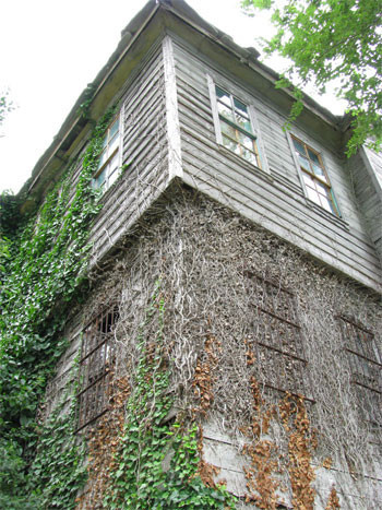 Karadeniz'de saklı cennet - Resim: 1