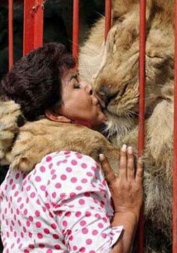 Güldüren kareler - Resim: 2