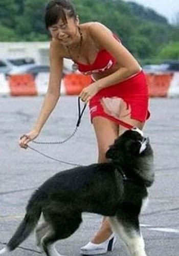 Güldüren kareler - Resim: 4