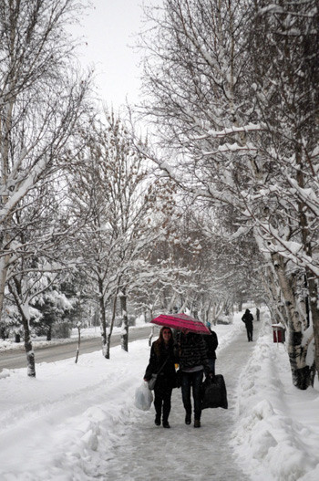 Bahar ortasında kar esareti - Resim: 3