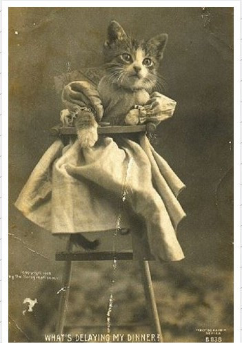 İnternet uygulamalarının ataları - Resim: 4