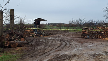 Kırklareli'nde korkunç kaza! Hızarın üzerine düşen işçi ağır yaralandı
