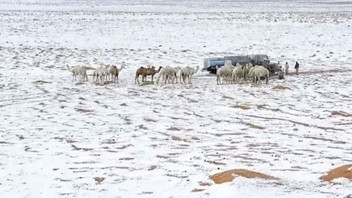 Suudi Arabistan’da çöller dolu yağışıyla beyaza büründü