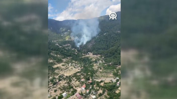 Antalya'da orman yangını çıktı