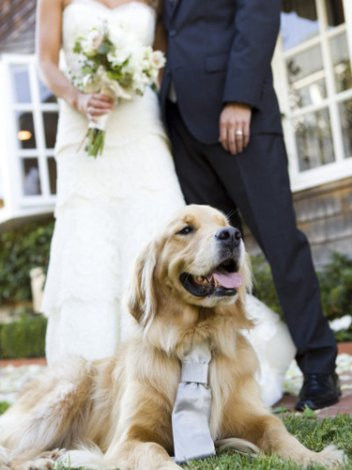 Evlilik teklifi için en güzel tüyolar! - Resim: 4