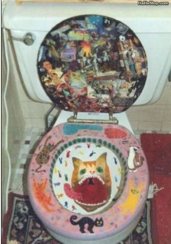 En çok ilgi çeken fotoğraflar - Resim: 2