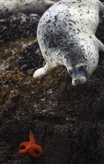 Bir oradan bir buradan fotoğraflar - Resim: 4