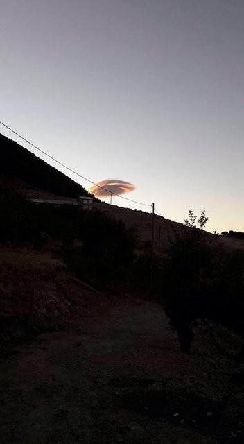 Tuncelide şaşırtan olay! - Resim: 1