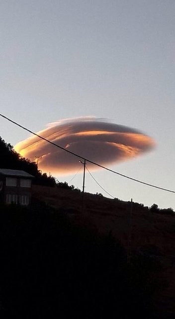 Tuncelide şaşırtan olay! - Resim: 2