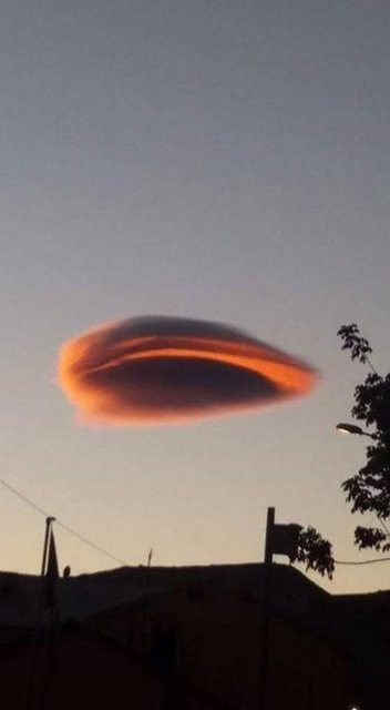 Tuncelide şaşırtan olay! - Resim: 4