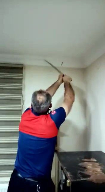 Düzce'de kartonpiyerden yılanlar çıktı! Klimadan girmişler - Resim: 2