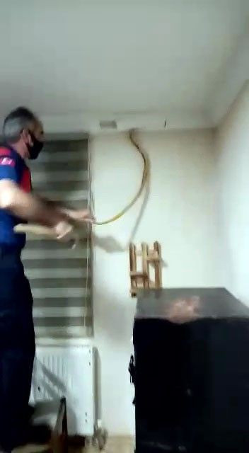 Düzce'de kartonpiyerden yılanlar çıktı! Klimadan girmişler - Resim: 1